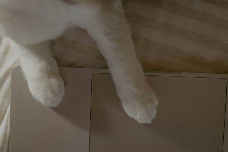 ペットケアジャパン株式会社 - Image 1